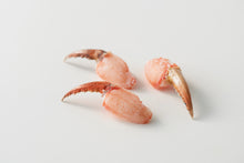 画像をギャラリービューアに読み込む, 蟹のフライと剥き身の食べ比べセット
